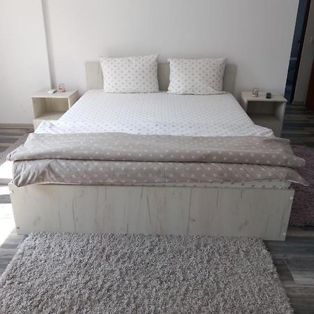 Dana Studio Tulcea Luaran gambar