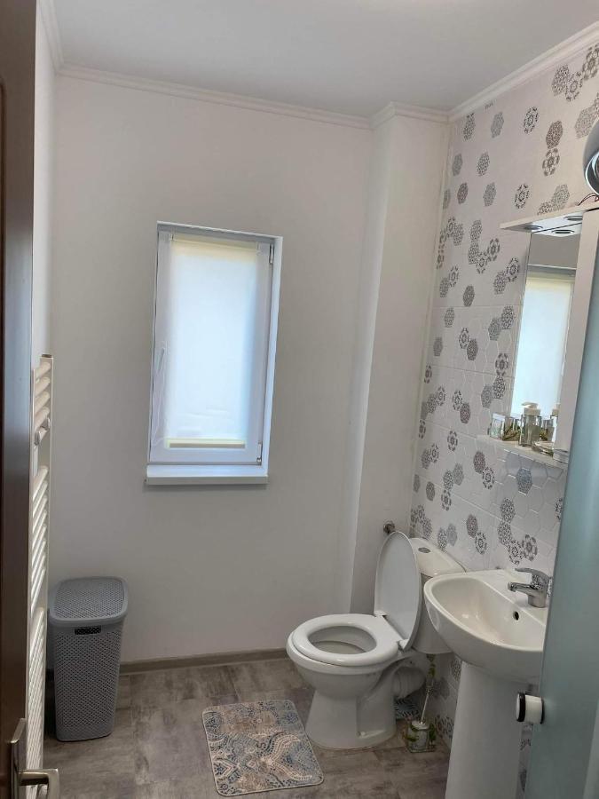 Dana Studio Tulcea Luaran gambar