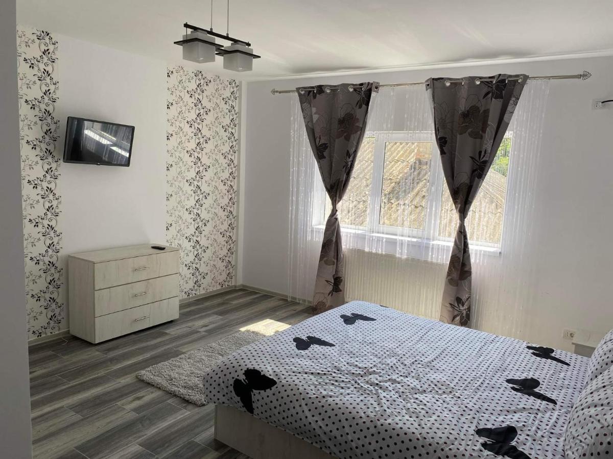 Dana Studio Tulcea Luaran gambar