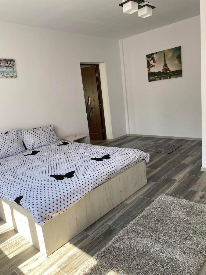 Dana Studio Tulcea Luaran gambar