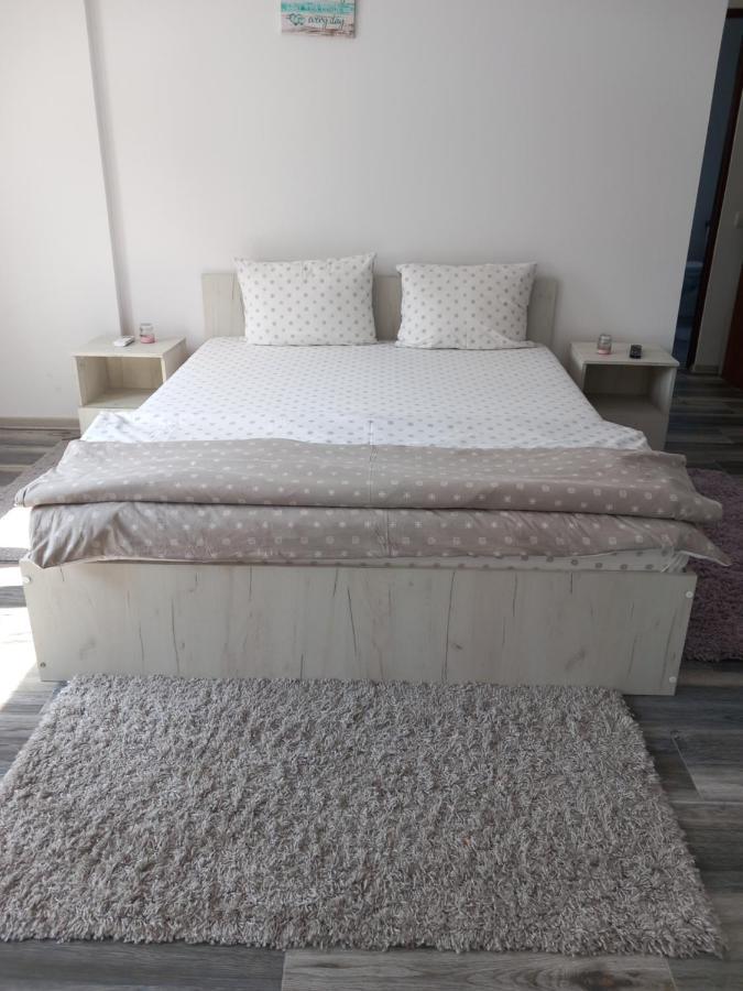 Dana Studio Tulcea Luaran gambar