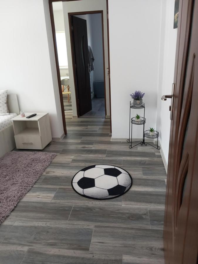 Dana Studio Tulcea Luaran gambar